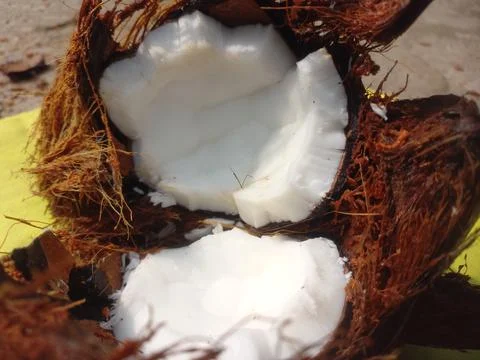 White Raw coconut pieces Stock Photos