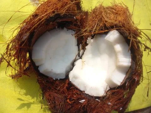 White Raw coconut pieces Stock Photos