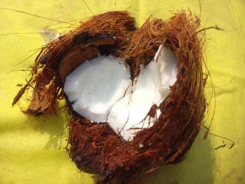 White Raw coconut pieces Stock Photos