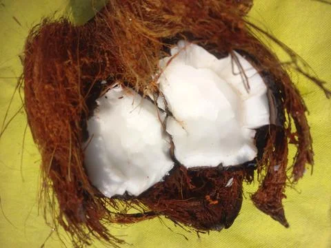 White Raw coconut pieces Stock Photos