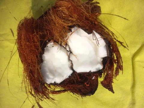 White Raw coconut pieces Stock Photos