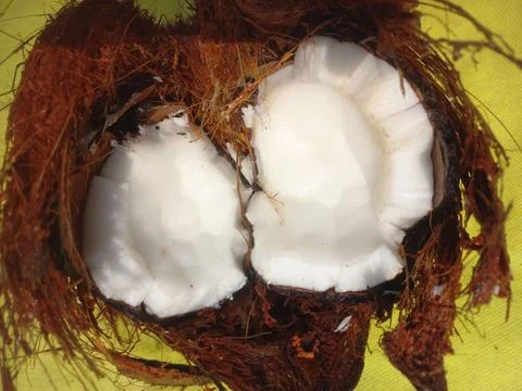 White Raw coconut pieces Stock Photos