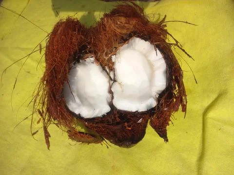 White Raw coconut pieces Stock Photos