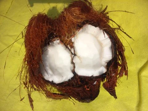 White Raw coconut pieces Stock Photos