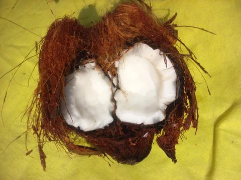 White Raw coconut pieces Stock Photos