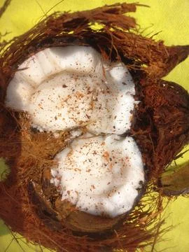White Raw coconut pieces Stock Photos