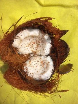 White Raw coconut pieces Stock Photos