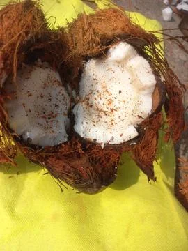 White Raw coconut pieces Stock Photos