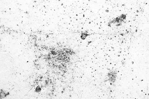 White Raw Concrete Wall Texture Background. Stock Photos