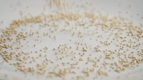White raw quinoa grains falling on ceramic surface Stock Footage 250594513