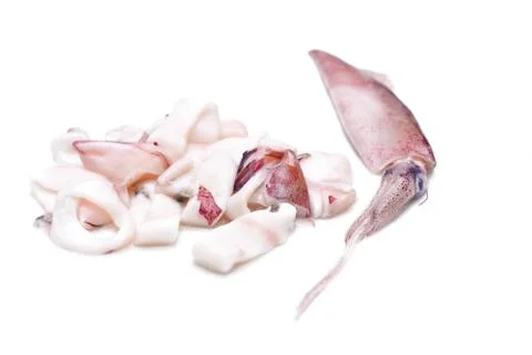 White raw squids Stock Photos