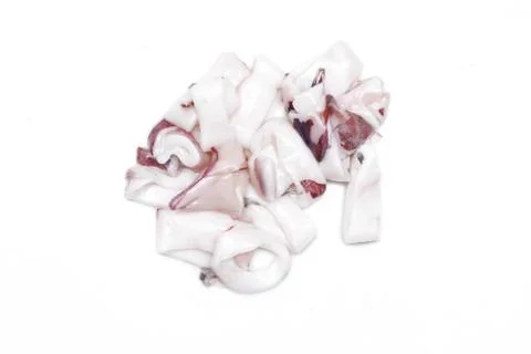 White raw squids Stock Photos