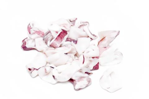White raw squids Stock Photos