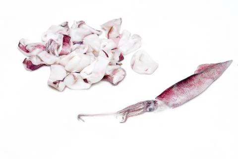 White raw squids Stock Photos