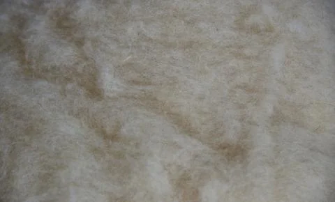 White Raw wool, ready for manufacturing Stock Photos
