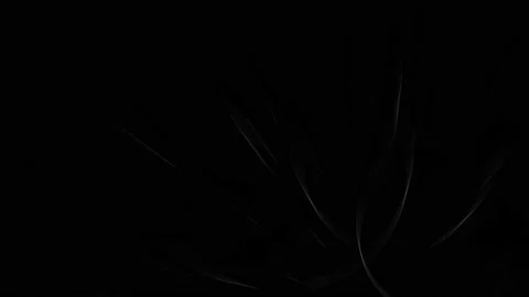 White rays of light on a dark background change Stock Footage 221488263