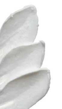White ?reamy texture isolated on white Stock Photos