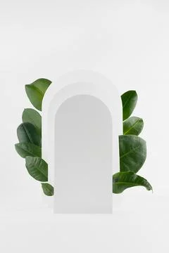White rectangle rounded arches with green leaves in sunlight  as podium on ab Stock Photos