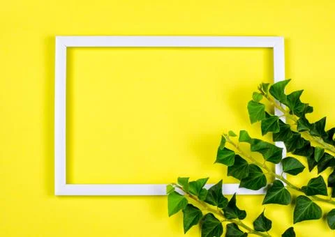 White rectangular frame on a yellow background decorated with ivy branches. Stock Photos