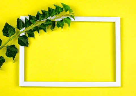 White rectangular frame on a yellow background decorated with ivy branches. Foto stock