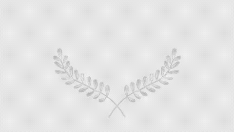 White retro chalk frame, animation. Stock-Footage 334063829