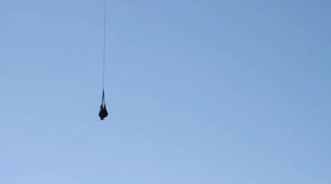 White rhino relocated by helicopter Stock Footage 36255545