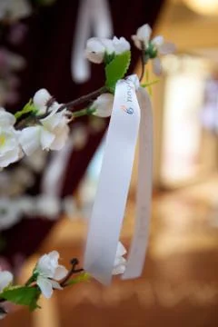 White ribbon on the tree Stock Photos