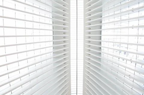 White ribs in the ceiling of the WTC transit hub. Stock Photos