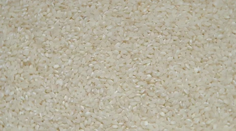White rice Stock Footage 36647810