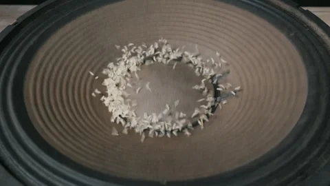 White Rice Grains Bouncing on Vibrating Subwoofer Speaker Cone Vídeos de archivo 334735381