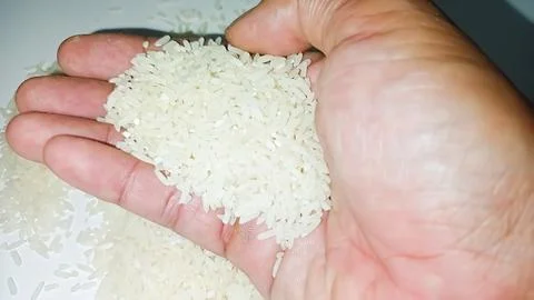White rice on hand Stock-Fotos