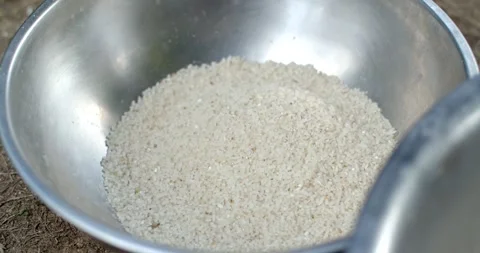 White rice that has gone through the milling process is medium-sized rice. Stock Footage 278676242