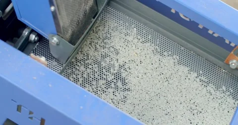 White rice that has gone through the milling process is flowing down.  Stock Footage 278676432