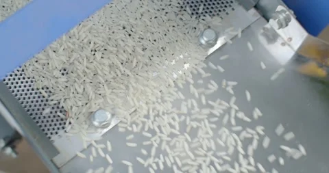 White rice that has gone through the milling process is flowing down. Close up. Stock Footage 278676474