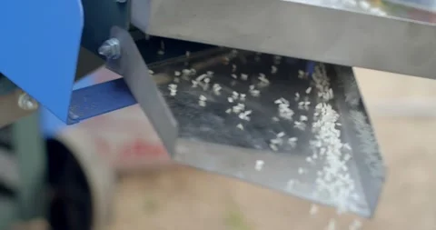 White rice that has gone through the milling process. Stock Footage 278677024