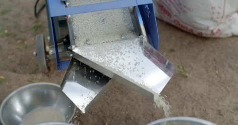 White rice that has gone through the milling process is flowing down. Stock Footage 283484434