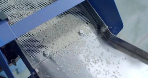 White rice that has gone through the milling process is flowing down.Close up. Stock Footage 310330341
