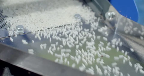 White rice that has gone through the milling process is flowing down.Close up. Stock Footage 310330492