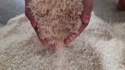 White rice in India. Stock Footage 140952183