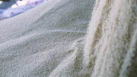 White Rice Kernel Seeds Dropped Close Up Stock Footage 200957044