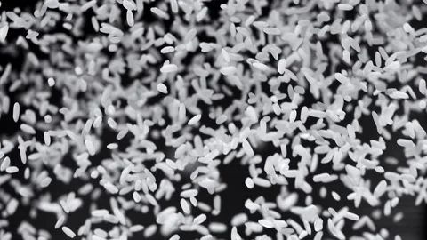White rice particles fly up and hang in the air on a black background Stock Footage 141184740