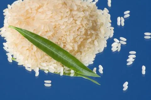 White rice 写真素材