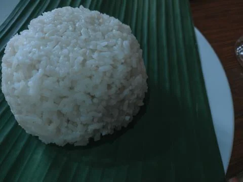White rice 写真素材