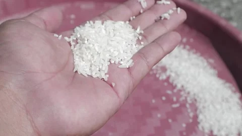 White rice video Stock Footage 194664738