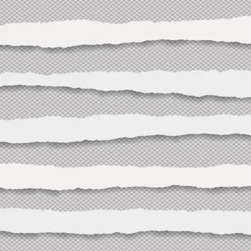 White ripped notebook paper strips for note or message stuck on squared Stock Illustration