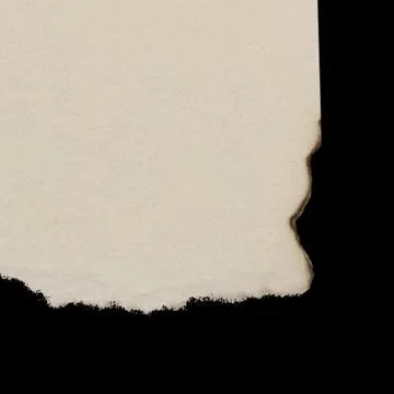 White ripped paper edge texture overlay background Illustrazione stock