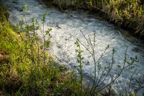 White river and stream Stock Photos