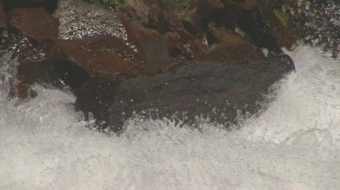 White river - close Stock Footage 82758