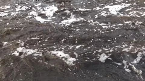 White river, fast flow of water, mountain river Stock Footage 265574447