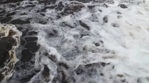 White river, fast flow of water Stock Footage 296221421